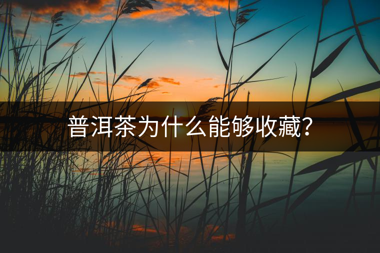 普洱茶為什么能夠收藏？