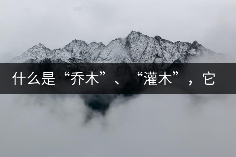 什么是“喬木”、“灌木”，它們之間有什么不同？