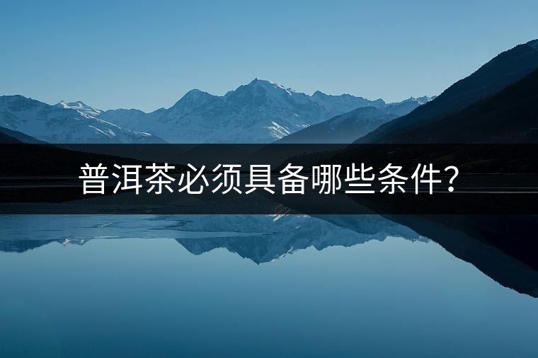普洱茶必須具備哪些條件？