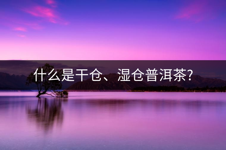 什么是干倉(cāng)、濕倉(cāng)普洱茶?