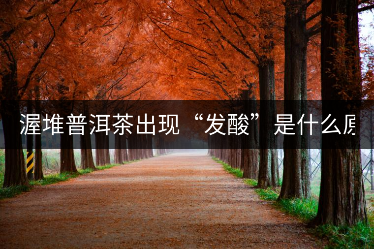 渥堆普洱茶出現(xiàn)“發(fā)酸”是什么原因？