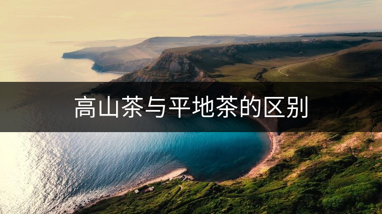 高山茶與平地茶的區(qū)別