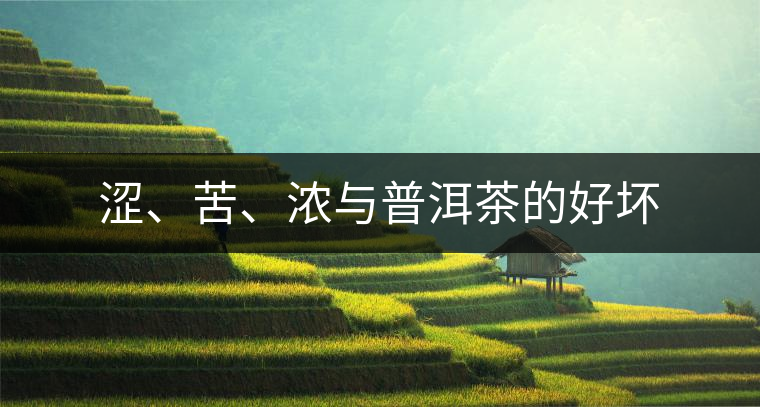澀、苦、濃與普洱茶的好壞