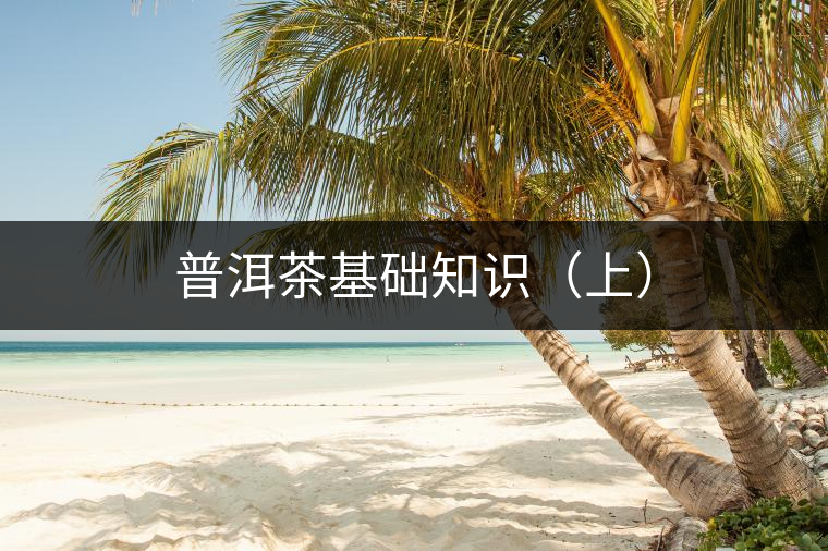 普洱茶基礎(chǔ)知識(shí)（上）