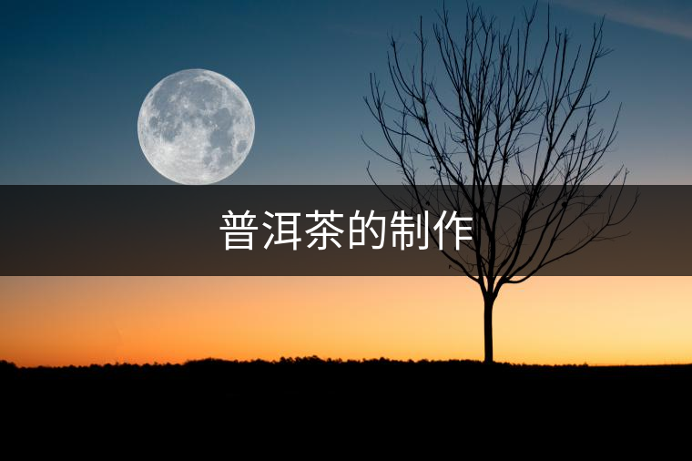 普洱茶的制作