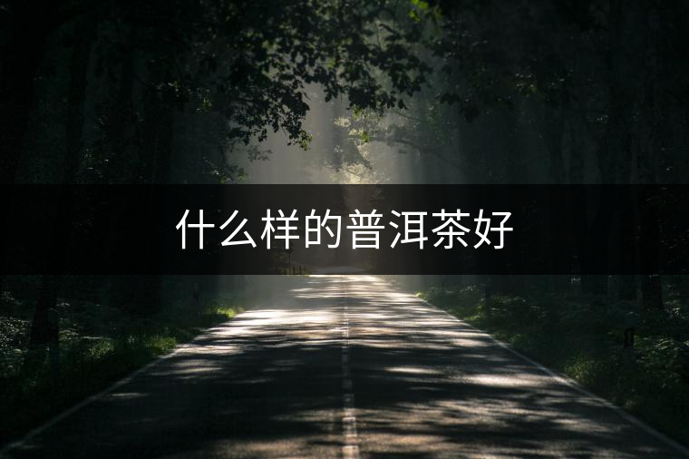 什么樣的普洱茶好