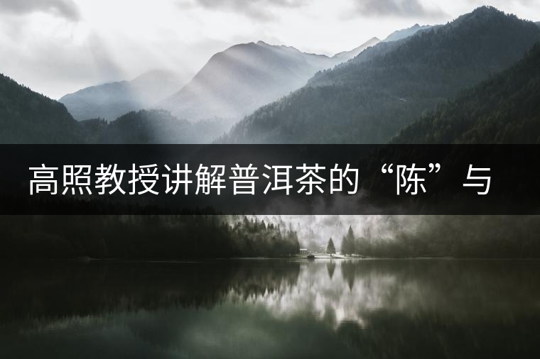 高照教授講解普洱茶的“陳”與“香”