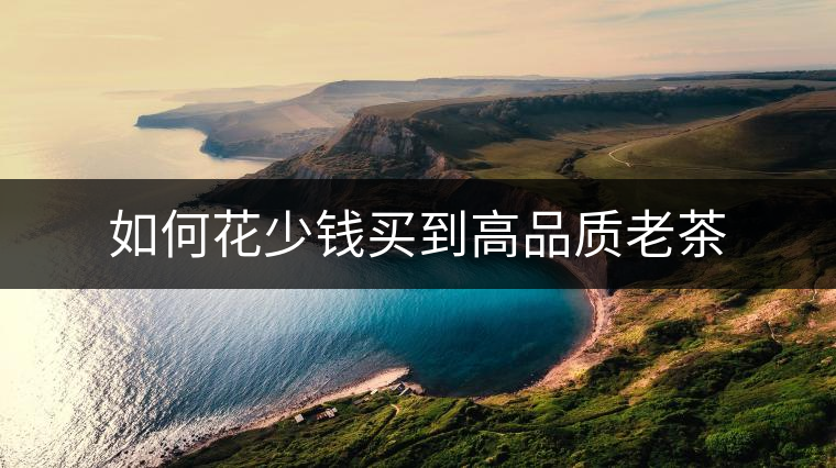 如何花少錢買到高品質老茶 如何花少錢買到高品質老茶