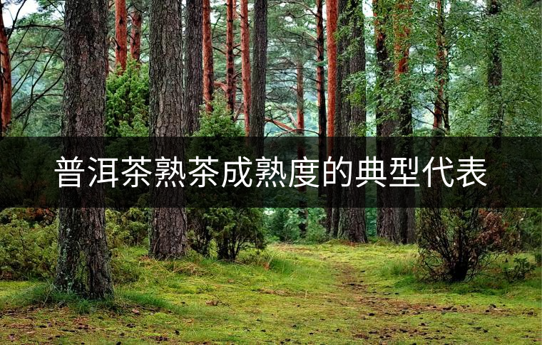 普洱茶熟茶成熟度的典型代表