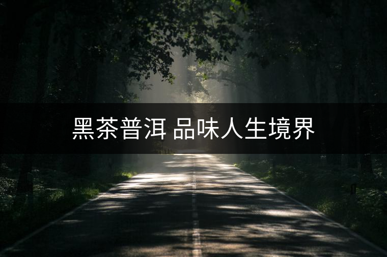 黑茶普洱 品味人生境界