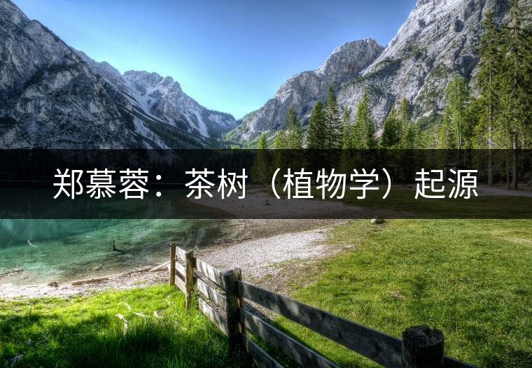 鄭慕蓉：茶樹（植物學）起源