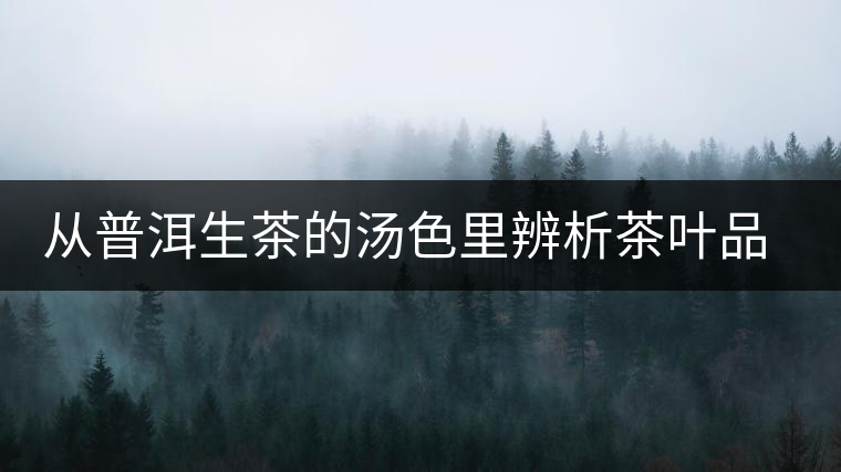 從普洱生茶的湯色里辨析茶葉品質(zhì)