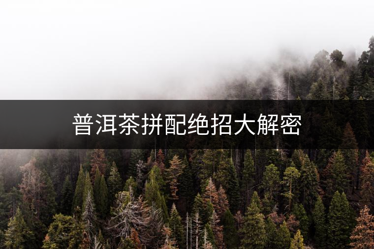 普洱茶拼配絕招大解密 普洱茶拼配絕招大解密