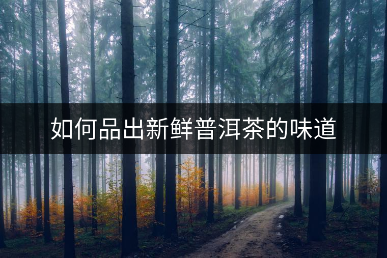 如何品出新鮮普洱茶的味道