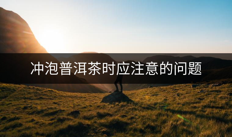 沖泡普洱茶時(shí)應(yīng)注意的問(wèn)題 沖泡普洱茶時(shí)應(yīng)注意的問(wèn)題