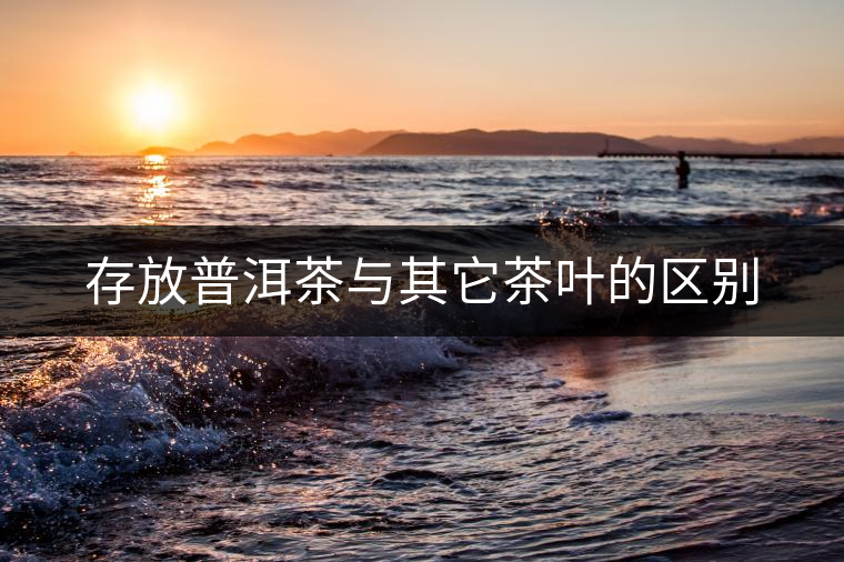 存放普洱茶與其它茶葉的區(qū)別