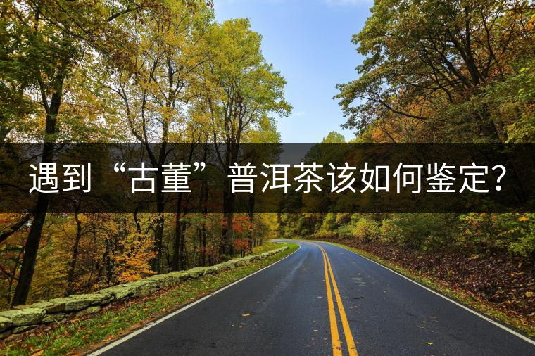 遇到“古董”普洱茶該如何鑒定？