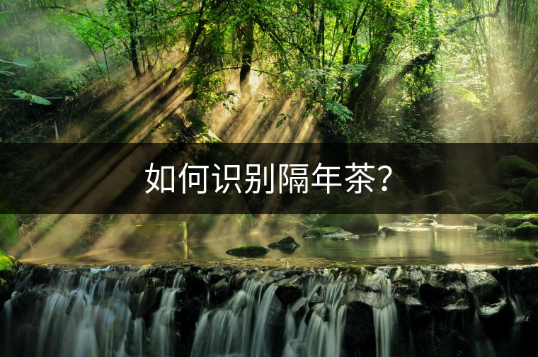如何識(shí)別隔年茶？