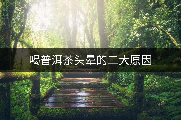 喝普洱茶頭暈的三大原因