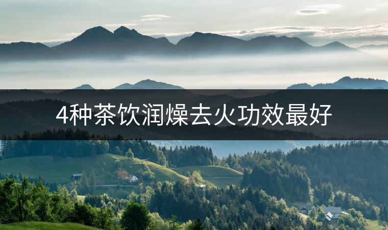 4種茶飲潤(rùn)燥去火功效最好