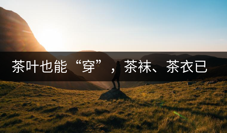 茶葉也能“穿”，茶襪、茶衣已進入研發(fā)階段