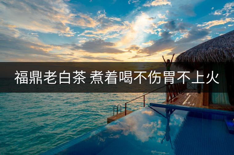 福鼎老白茶 煮著喝不傷胃不上火
