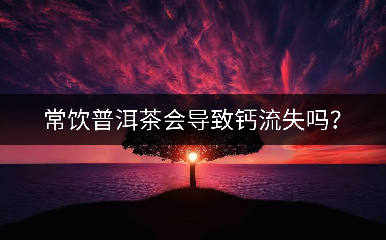 常飲普洱茶會導致鈣流失嗎？