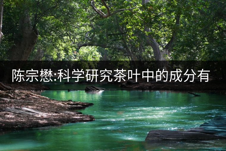 陳宗懋:科學(xué)研究茶葉中的成分有改善記憶的功能
