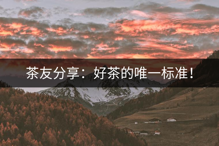 茶友分享：好茶的唯一標(biāo)準(zhǔn)！