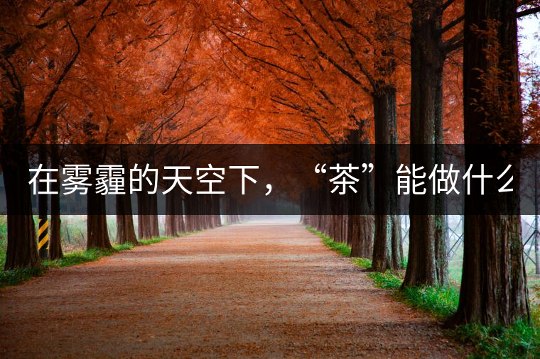 在霧霾的天空下，“茶”能做什么？