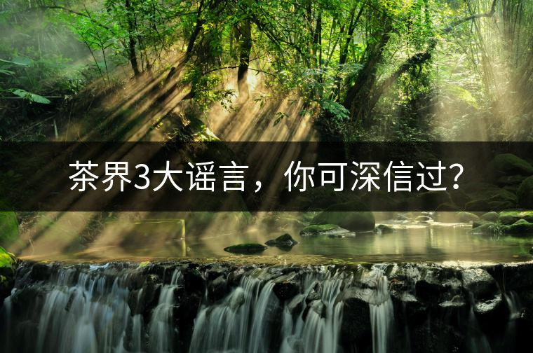 茶界3大謠言，你可深信過？