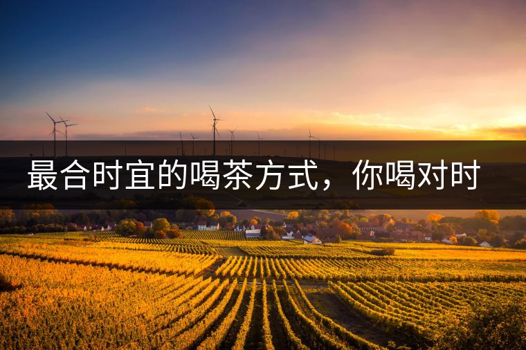 最合時宜的喝茶方式，你喝對時間了嗎？