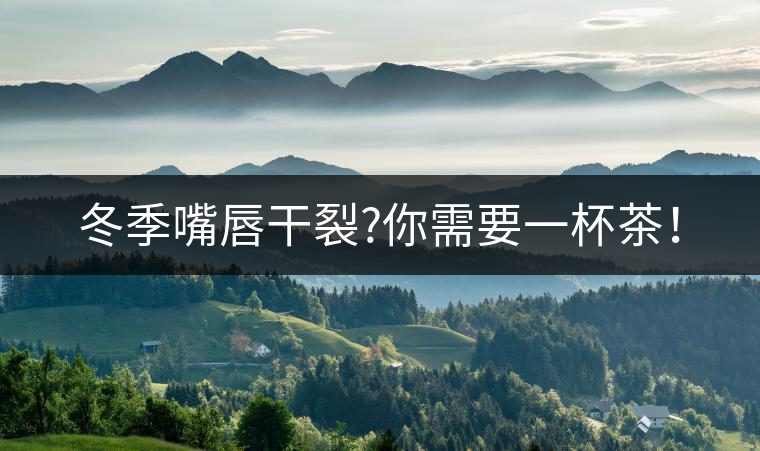冬季嘴唇干裂?你需要一杯茶！