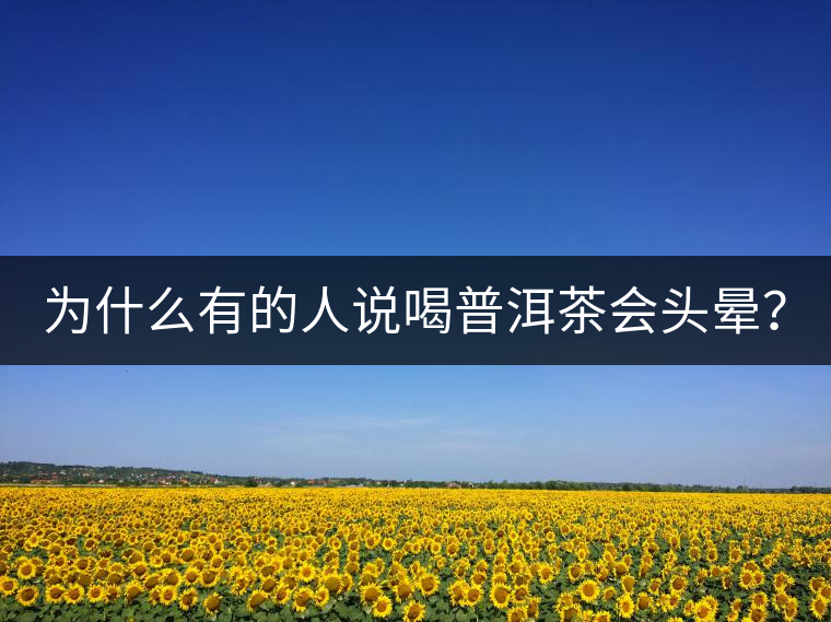 為什么有的人說(shuō)喝普洱茶會(huì)頭暈？