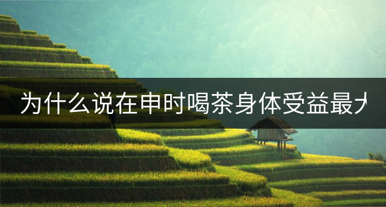 為什么說(shuō)在申時(shí)喝茶身體受益最大？