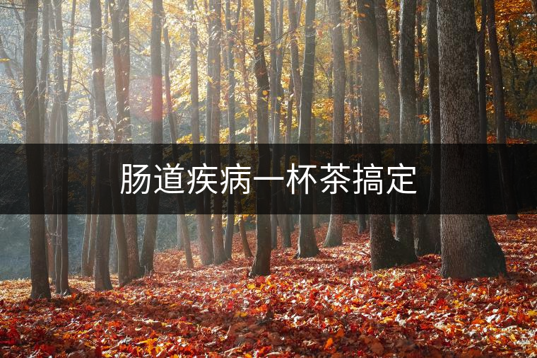 腸道疾病一杯茶搞定 腸道疾病一杯茶搞定
