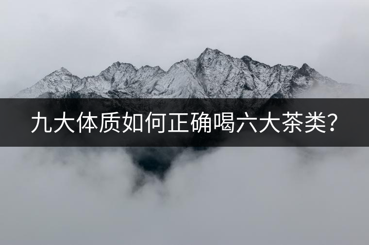九大體質如何正確喝六大茶類？