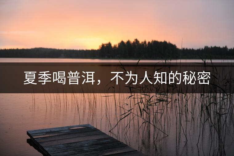 夏季喝普洱，不為人知的秘密