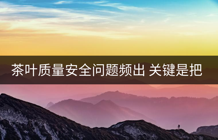 茶葉質量安全問題頻出 關鍵是把控源頭