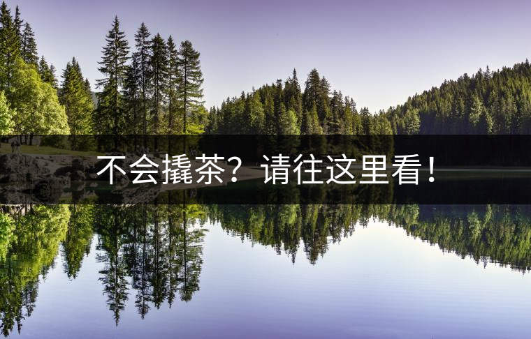 不會(huì)撬茶？請(qǐng)往這里看！