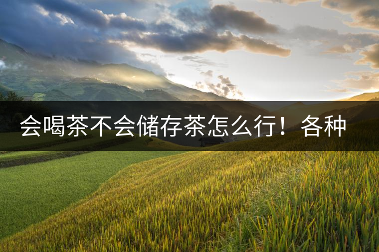 會(huì)喝茶不會(huì)儲(chǔ)存茶怎么行！各種存茶方法與技巧，把茶香留住