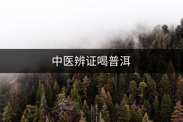 中醫(yī)辨證喝普洱