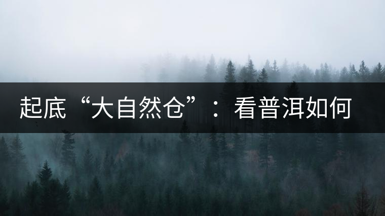 起底“大自然倉”：看普洱如何塑造倉儲新高地