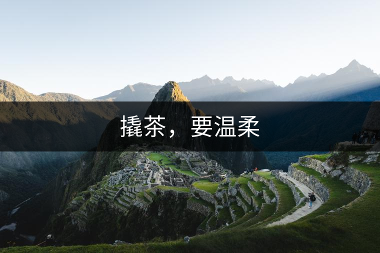 撬茶，要溫柔