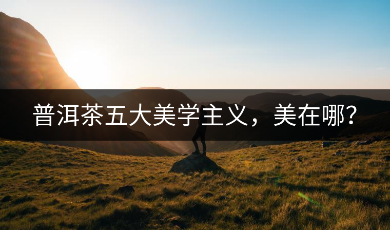 普洱茶五大美學(xué)主義，美在哪？