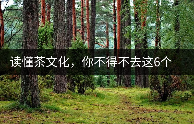 讀懂茶文化，你不得不去這6個(gè)城市