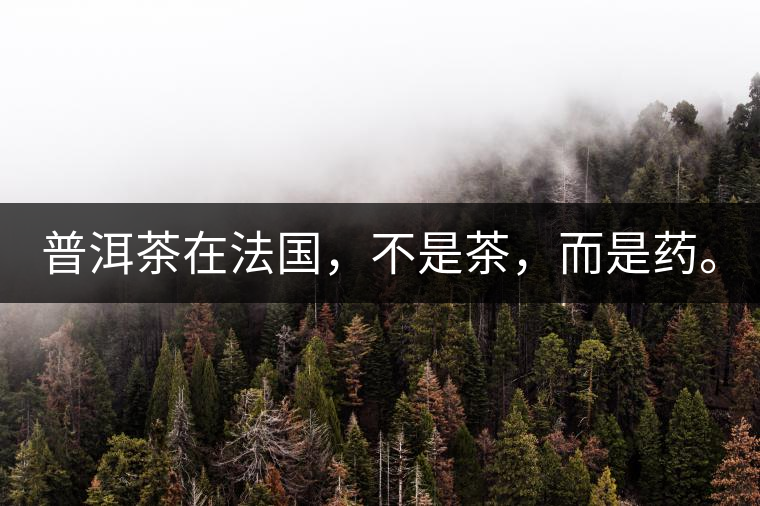 普洱茶在法國(guó)，不是茶，而是藥。