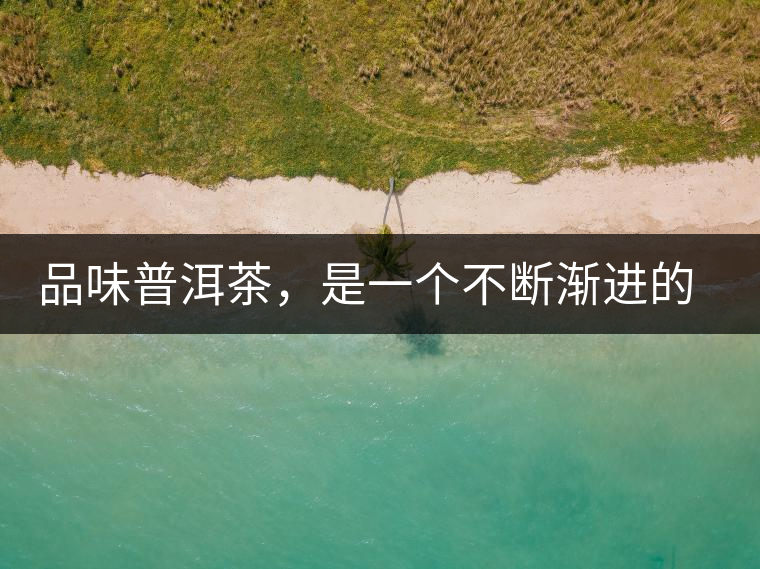 品味普洱茶，是一個不斷漸進的過程
