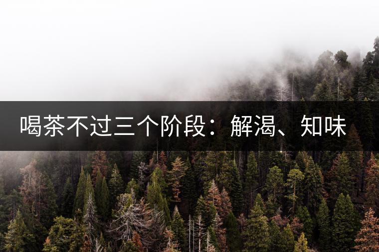 喝茶不過三個階段：解渴、知味、怡情