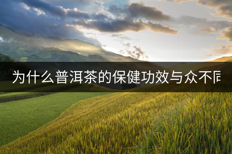 為什么普洱茶的保健功效與眾不同？